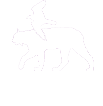 GWP Verlag